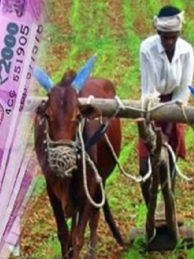 PM Kisan Yojana